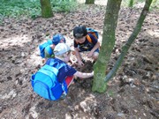 Celodenní výlet na Zámek Loučeň